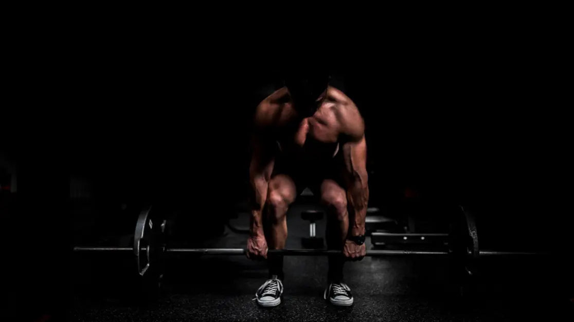 The Ultimate Lower Back Workouts for Men You Must Try